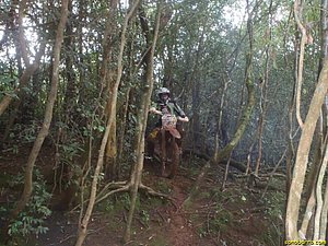 P7110041.jpg