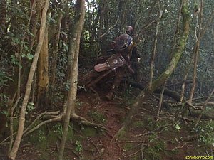 P7110042.jpg
