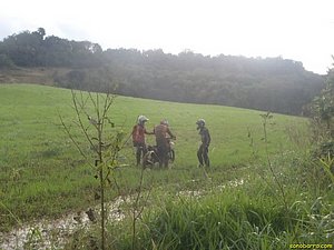 P7110046.jpg