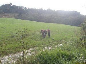 P7110047.jpg