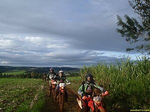 P7110058.jpg
