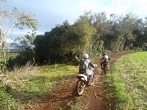 P7110060.jpg