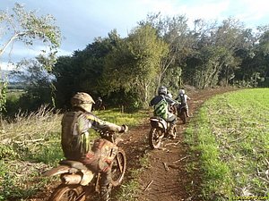 P7110061.jpg