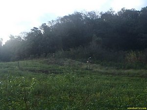 P7110067.jpg