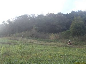 P7110068.jpg