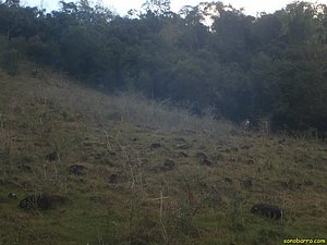 P7110070.jpg