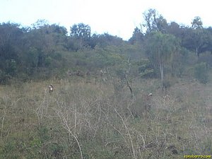 P7110071.jpg
