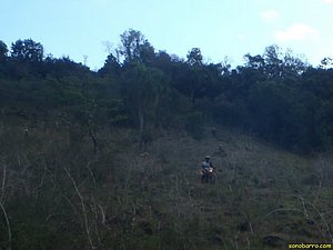 P7110072.jpg