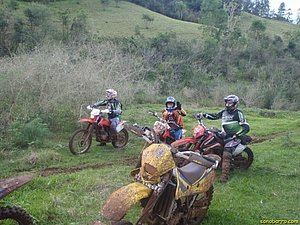 P7110073.jpg