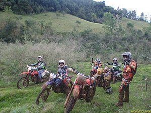P7110074.jpg