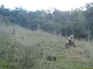 P7110075.jpg
