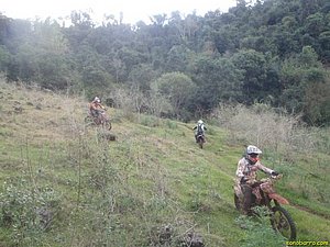 P7110077.jpg