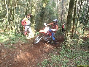 P7180003.jpg