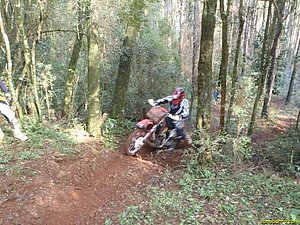 P7180004.JPG