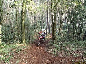 P7180008.JPG