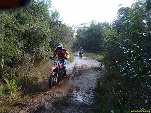 P7180017.JPG
