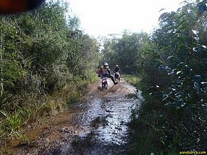 P7180018.JPG