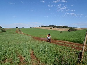 P7180019.JPG