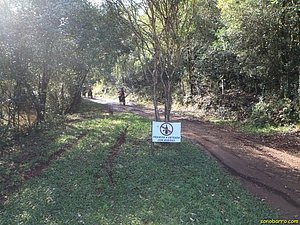 P7180038.JPG