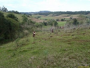 P7180054.JPG