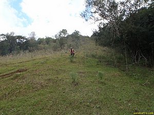 P7180055.JPG