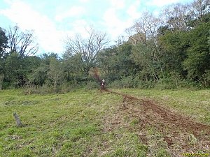 P7180076.JPG