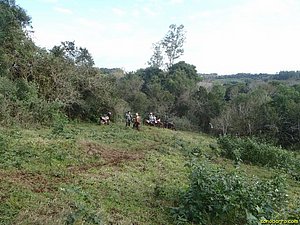 P7180078.JPG