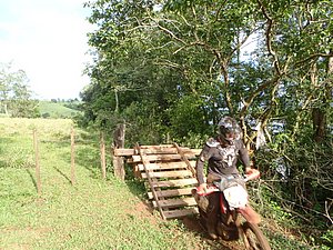 PB010011.jpg