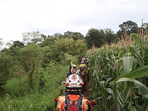 PC060028.jpg