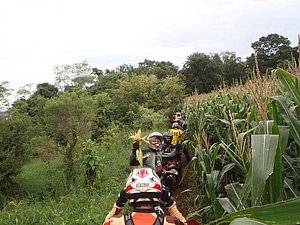 PC060030.jpg