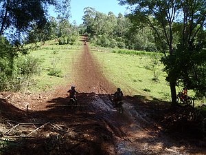 PC060050.jpg