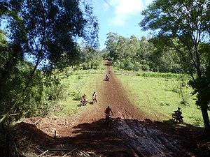 PC060054.jpg