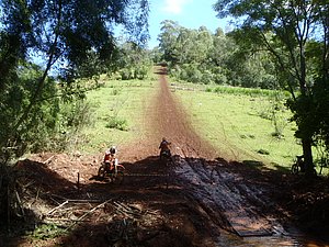 PC060055.jpg