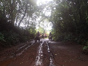 PC190007.jpg