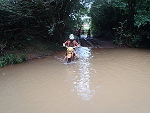 PC190010.jpg