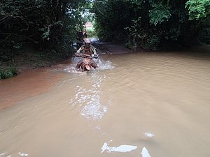 PC190016.jpg