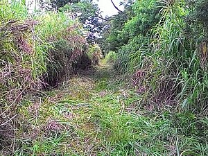 IMG-20160117-WA0027.jpg
