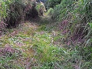 IMG-20160117-WA0028.jpg