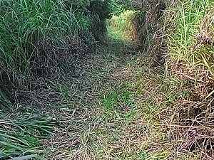 IMG-20160117-WA0029.jpg