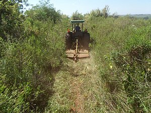 IMG-20160120-WA0003.jpg