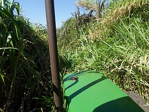 IMG-20160120-WA0008.jpg