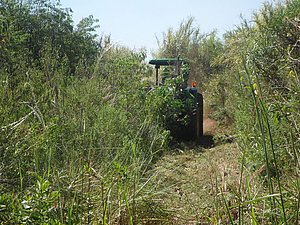 IMG-20160120-WA0009.jpg