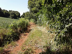IMG-20160124-WA0015.jpg