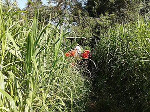 IMG-20160124-WA0018.jpg