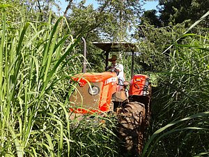 IMG-20160124-WA0019.jpg