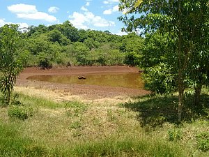IMG-20160124-WA0020.jpg