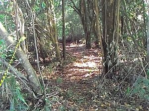 IMG-20160124-WA0021.jpg