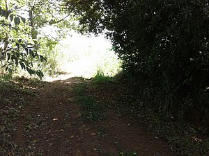 IMG-20160124-WA0022.jpg