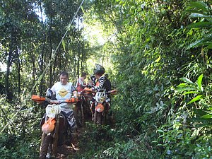 P2210004.jpg