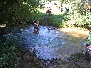 P2210014.jpg